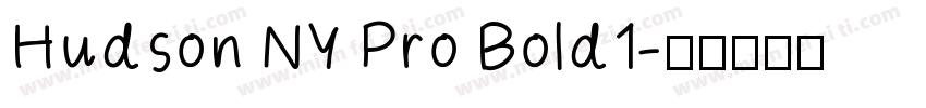 Hudson NY Pro Bold1字体转换